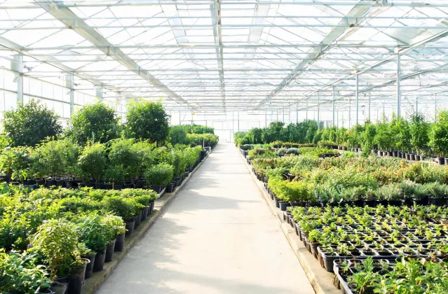 Commercial nursery aisle